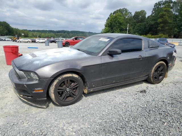 2014 FORD MUSTANG - 1ZVBP8AM4E5325276