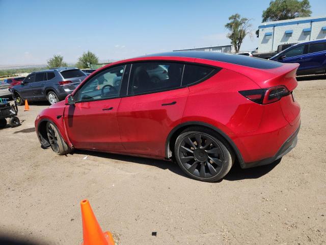 2023 TESLA MODEL Y #3285743648