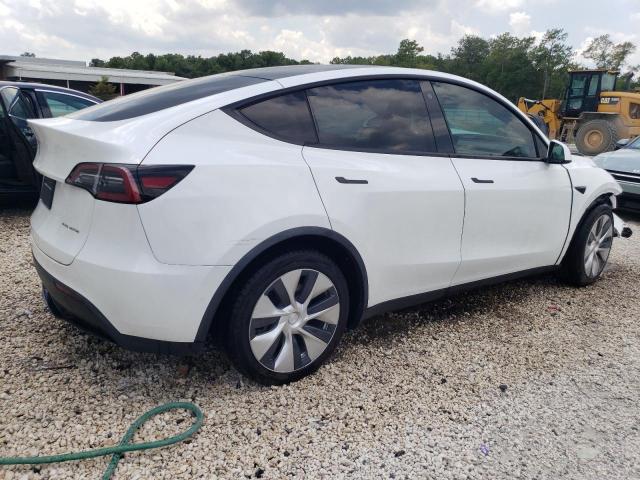 2021 TESLA MODEL Y - 5YJYGDEE1MF146506