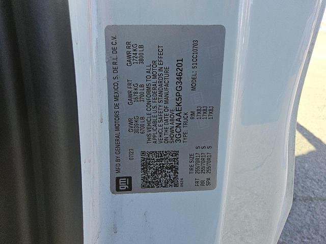 2023 CHEVROLET SILVERADO C1500 3GCNAAEK5PG346201