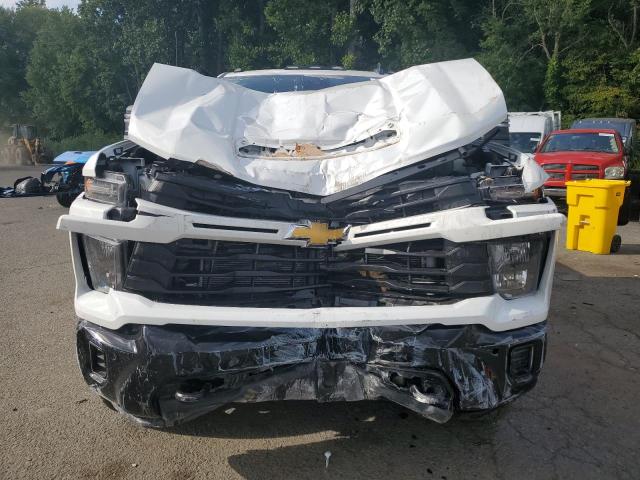 2025 CHEVROLET SILVERADO 1GC5KME71SF158067