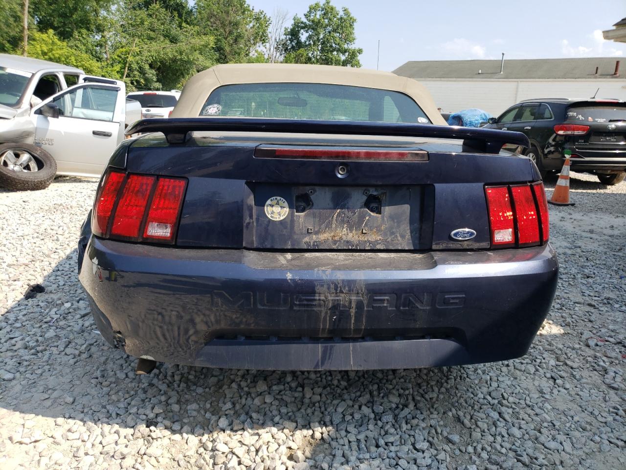 Lot #3301661624 2001 FORD MUSTANG