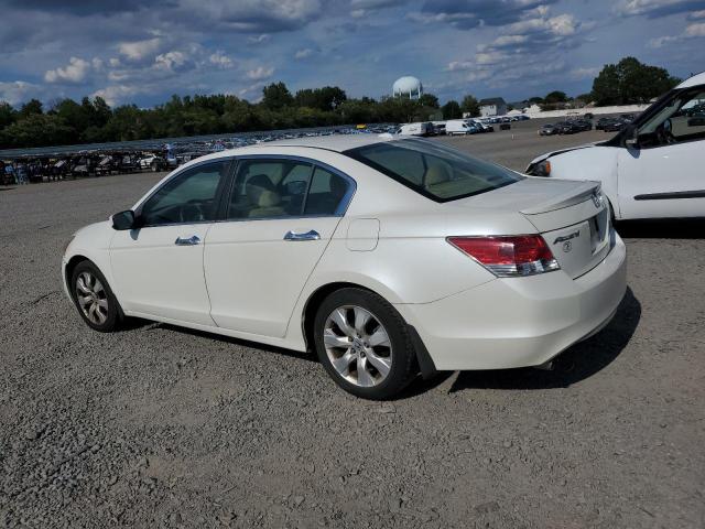 HONDA ACCORD EXL 2010 white  gas 1HGCP3F87AA005085 photo #3