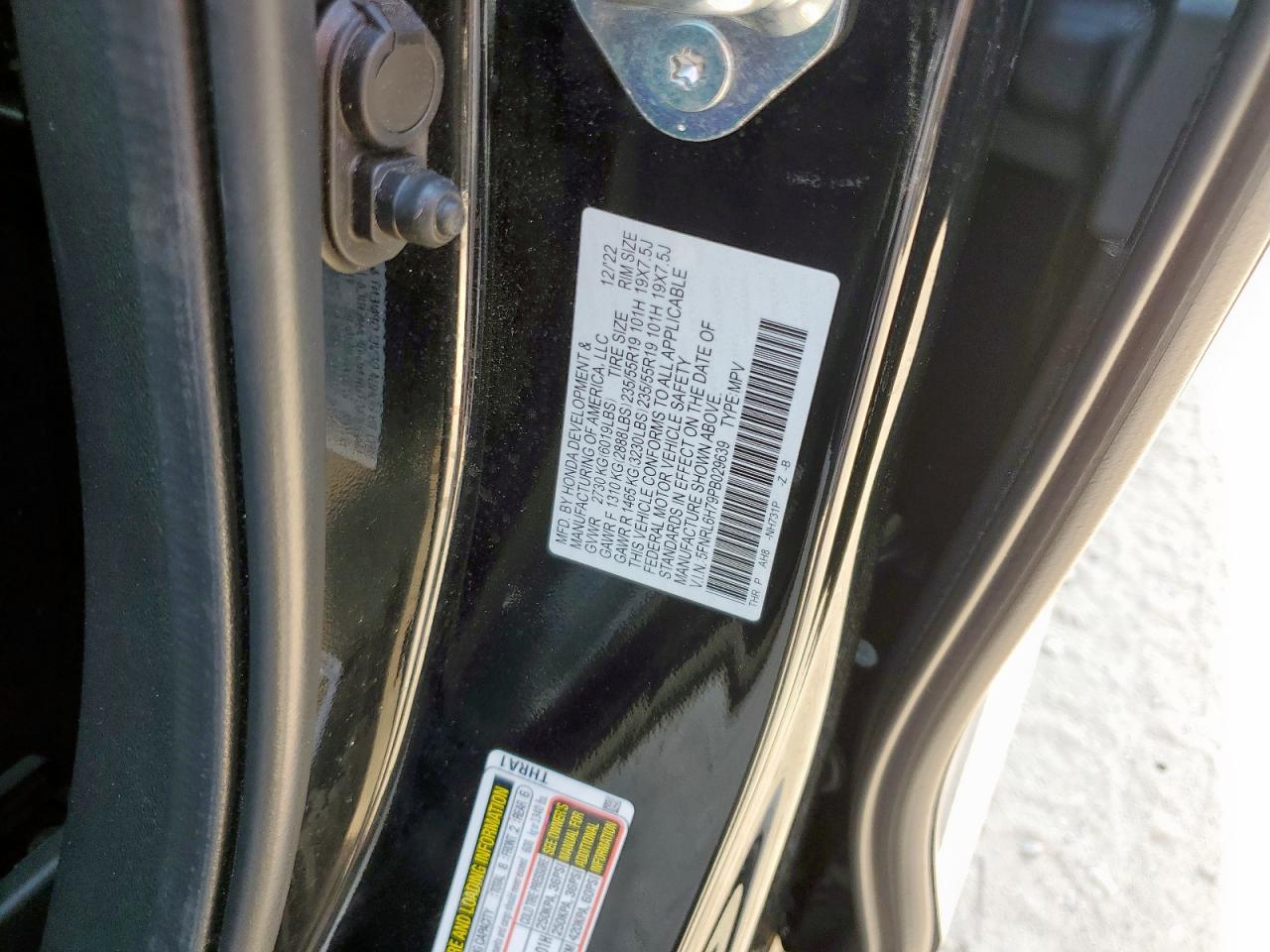 HONDA ODYSSEY SPORT-L