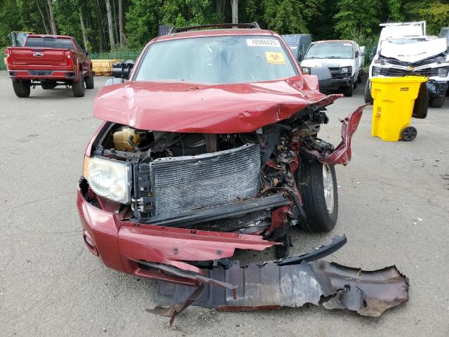 2010 FORD ESCAPE XLT - 1FMCU9DG7AKD41782