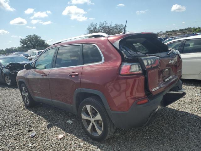 2019 JEEP CHEROKEE L 1C4PJLDB3KD427497