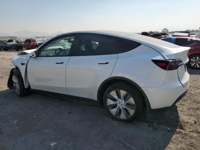 2024 TESLA MODEL Y 7SAYGDED1RF091587