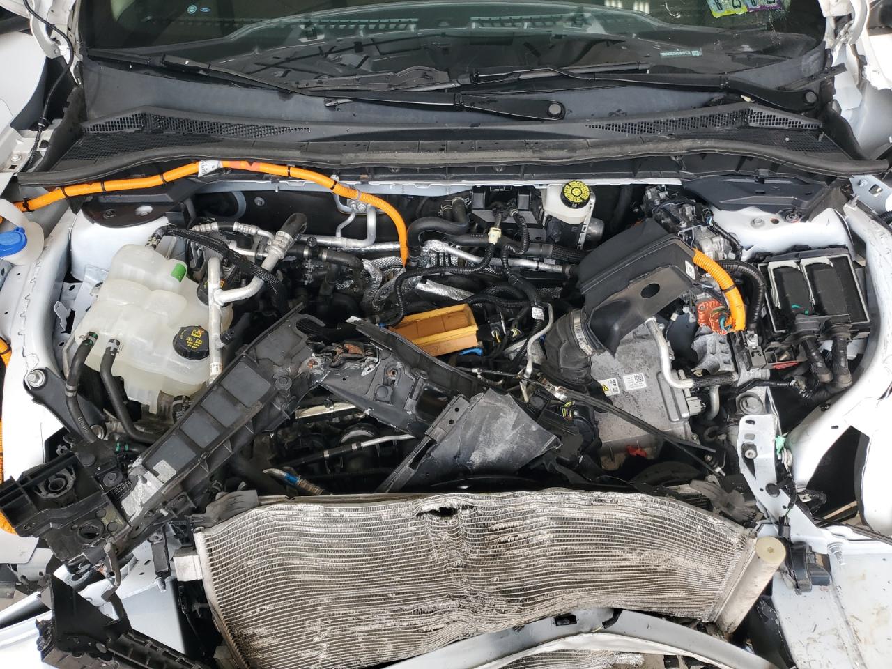 Lot #3319913147 2020 FORD ESCAPE SE