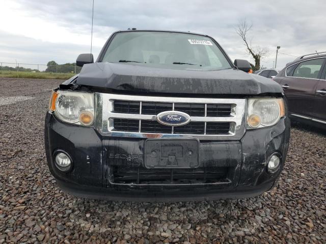2010 FORD ESCAPE XLT - 1FMCU0DG2AKA03069