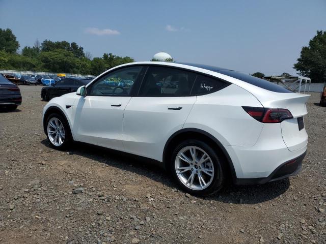 2023 TESLA MODEL Y 7SAYGDEE0PA199475