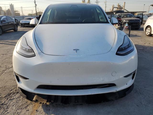 2020 TESLA MODEL Y 5YJYGDEE5LF054345