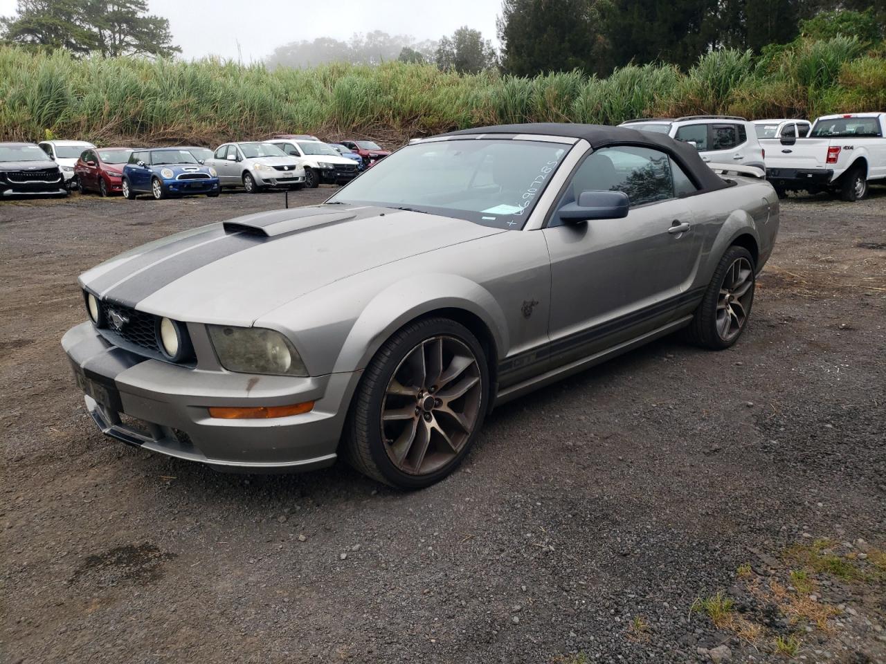 Lot #3262927882 2009 FORD MUSTANG GT