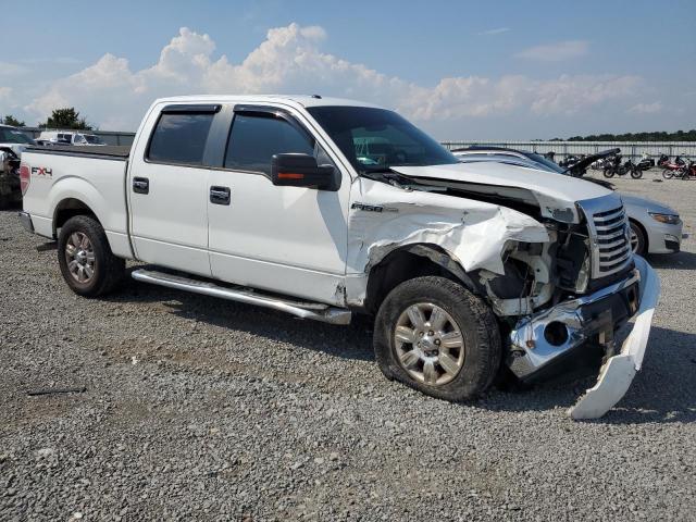2010 FORD F150 SUPERCREW - 1FTFW1EV0AKE52829