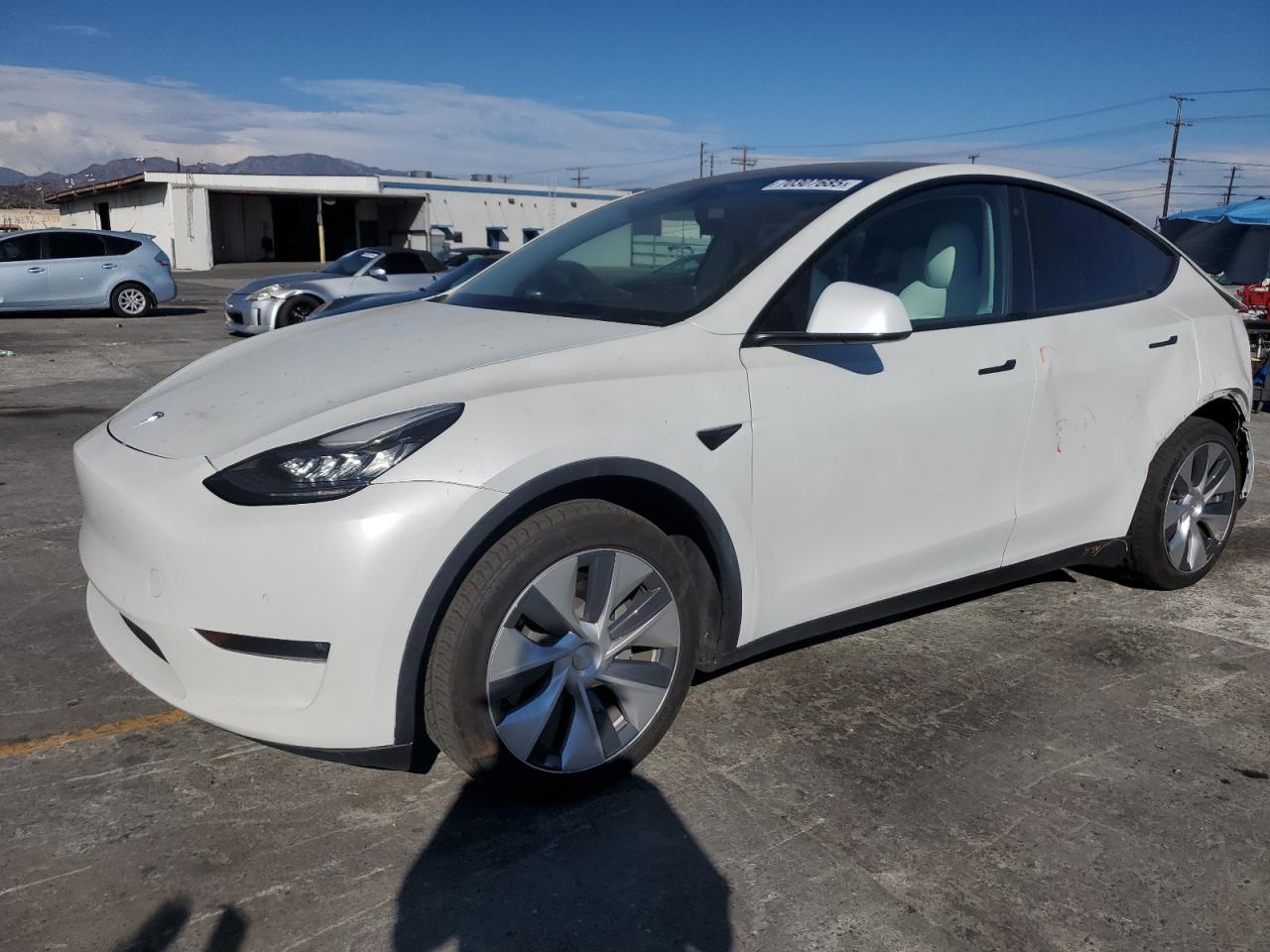TESLA MODEL Y