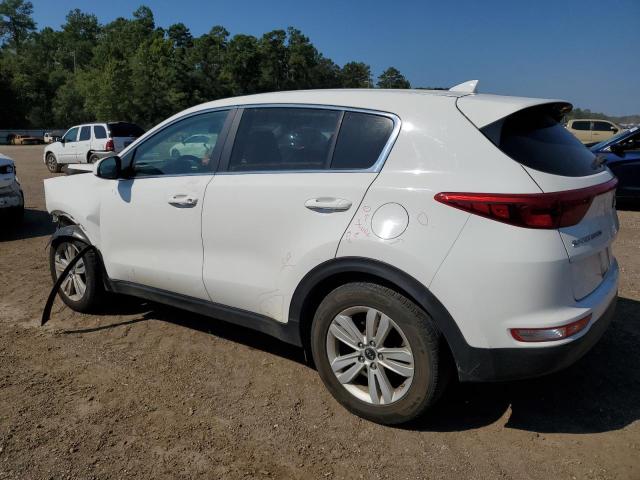 KNDPM3AC6K7628586 Kia Sportage L 2