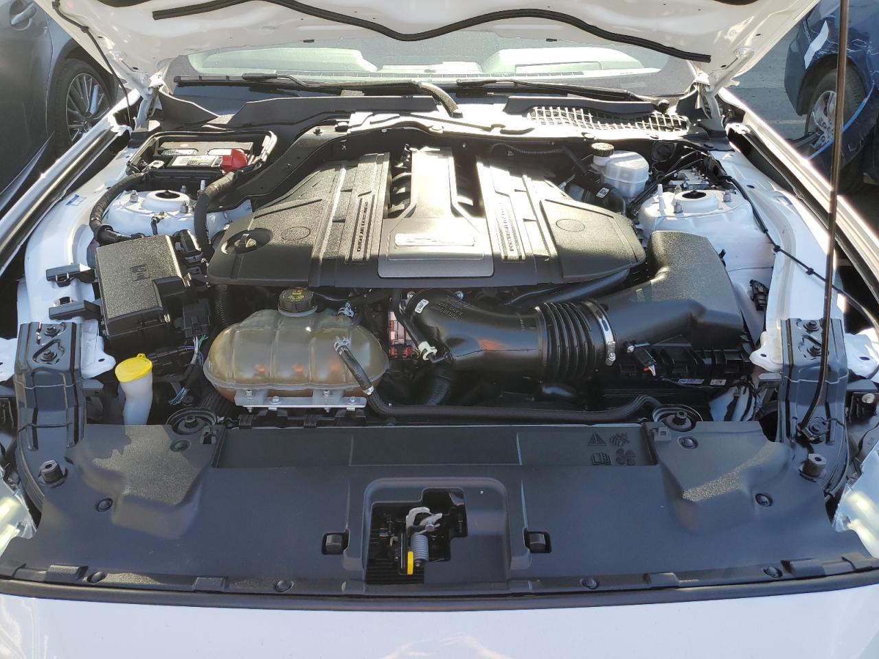 1FA6P8CF3M5138814 FORD MUSTANG 2021