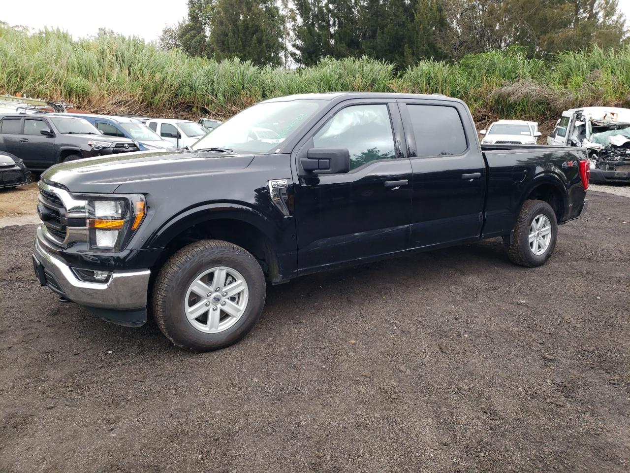 1FTFW1E56PKD35099 FORD F-150 2023