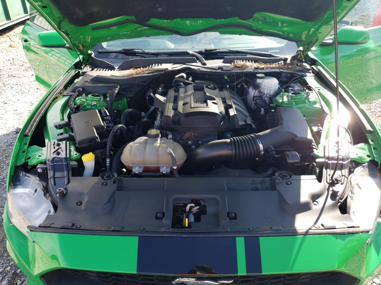 1FA6P8TH6K5101691 FORD ALL Models 2019