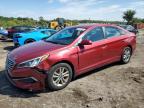 2016 HYUNDAI SONATA SE - 5NPE24AF1GH405226