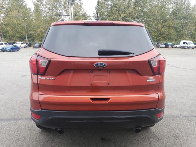 2019 FORD ESCAPE SE - 1FMCU9GD8KUC33906