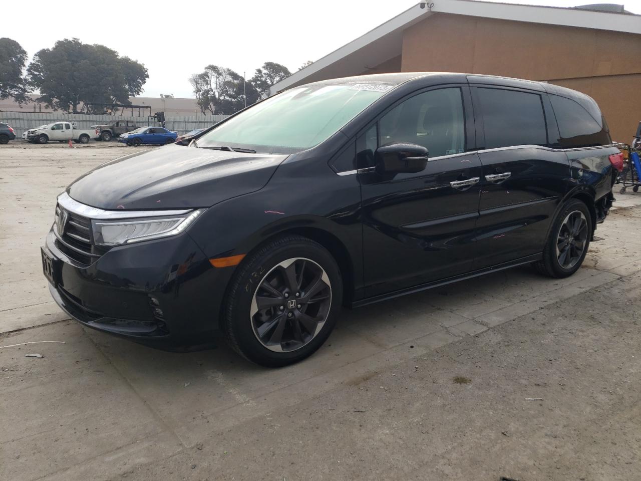 Honda Odyssey Elite