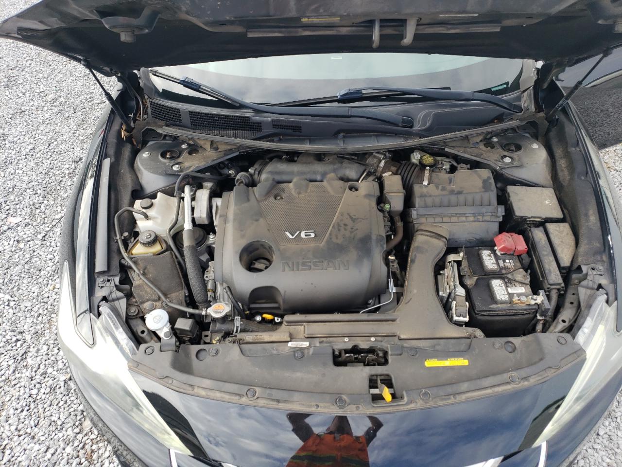 1N4AA6AP2HC451608 NISSAN MAXIMA 2017
