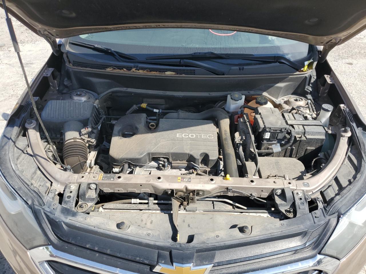 2GNAXKEV2K6272535 CHEVROLET EQUINOX 2019