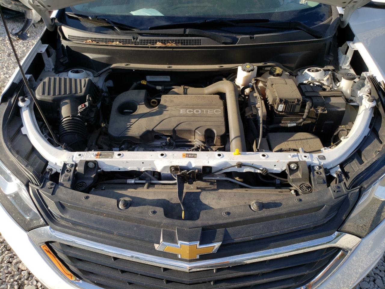 2GNAXUEV4K6116573 2019 Chevrolet Equinox Lt