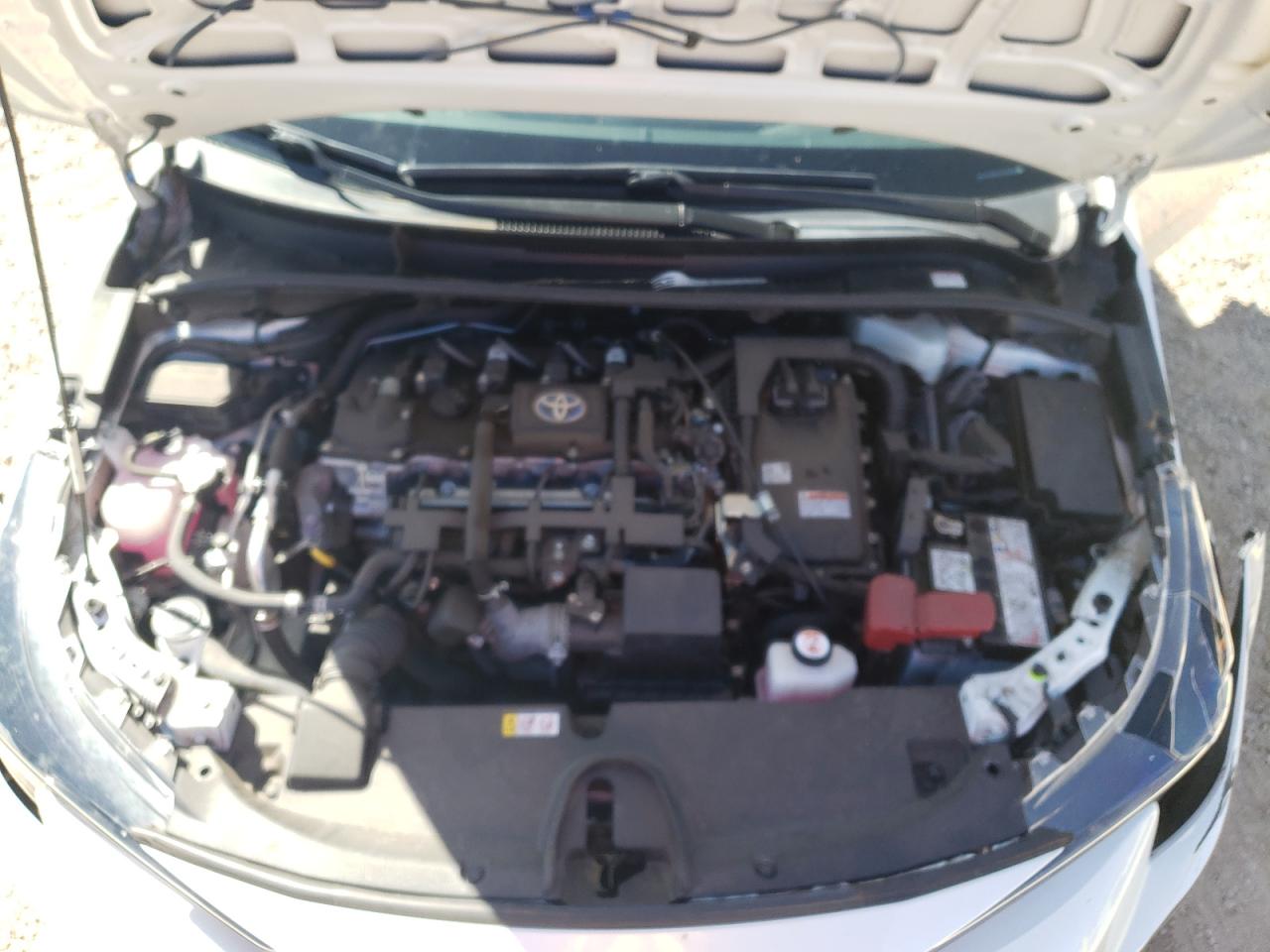 JTDEAMDE1MJ021889 TOYOTA COROLLA 2021