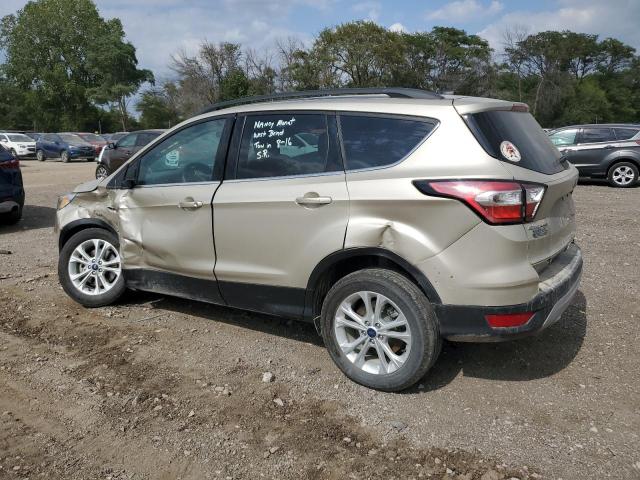  FORD ESCAPE 2018 Колір засмаги
