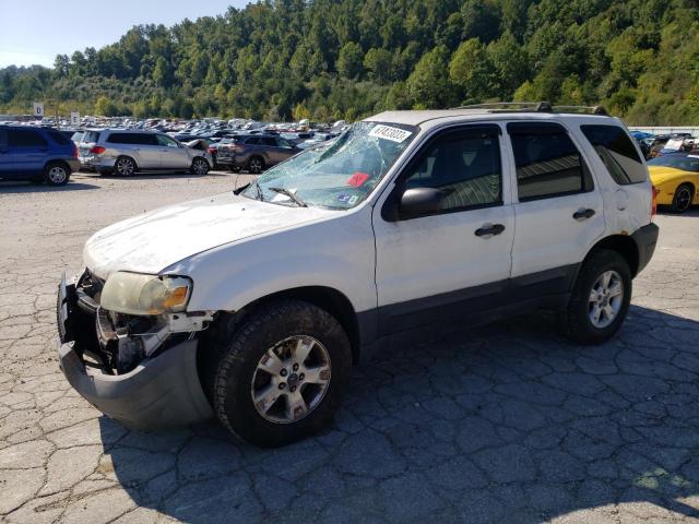 2007 Ford Escape XLT