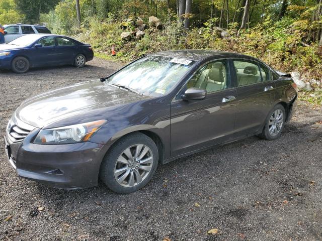 Auction sale of the 2012 Honda Accord Exl, vin: 1HGCP3F80CA021230, lot number: 68419813