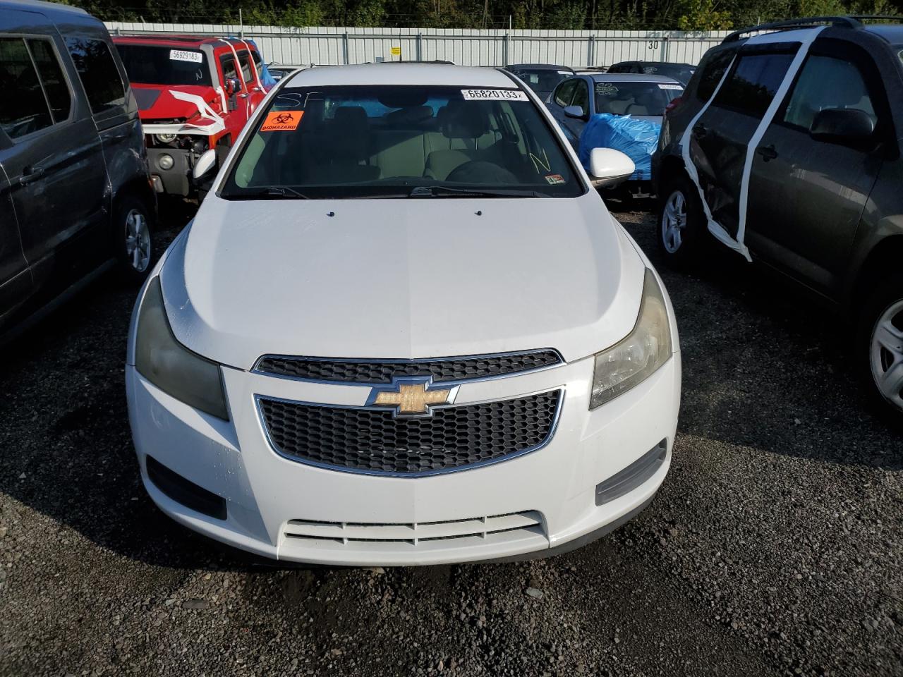 Lot #3031775003 2012 CHEVROLET CRUZE ECO