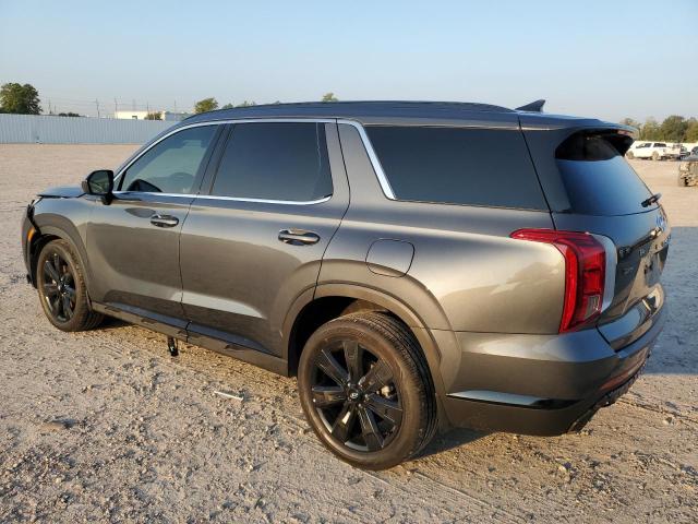 KM8R3DGE3PU558527 Hyundai Palisade  2