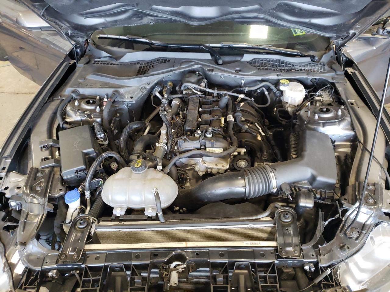 1FA6P8TH4M5126589 FORD ALL Models 2021