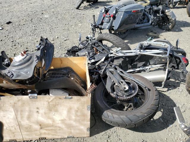 2023 TRIUMPH MOTORCYCLE TIGER 900 SMTE64DF7PTBF5261