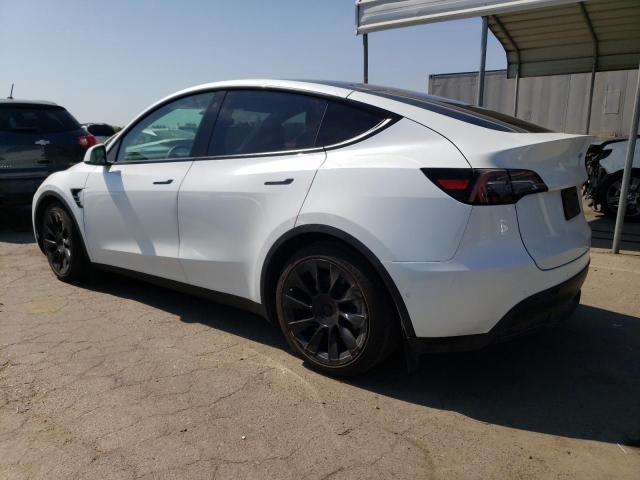 7SAYGAEEXNF366441 Tesla Model Y  2