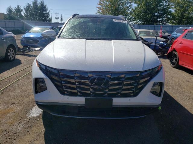 2023 HYUNDAI TUCSON LUX - KM8JCCA11PU097373