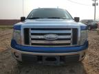 Lot #2919302569 2009 FORD F150 SUPER