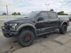 2019 FORD F150 RAPTO - IDCO004160ZZ