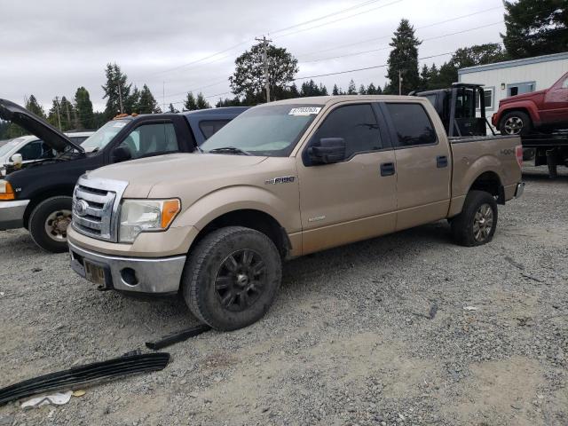 2011 Ford F-150 SuperCrew 