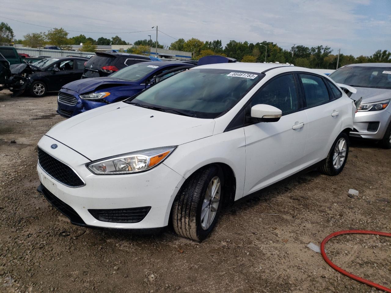 Lot #2890953569 2017 FORD FOCUS SE