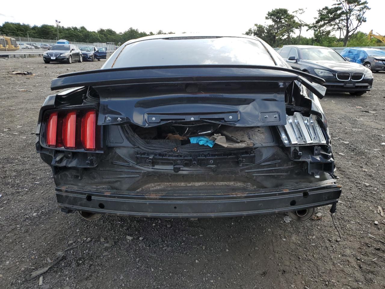 1FA6P8AM1F5312822 2015 Ford Mustang