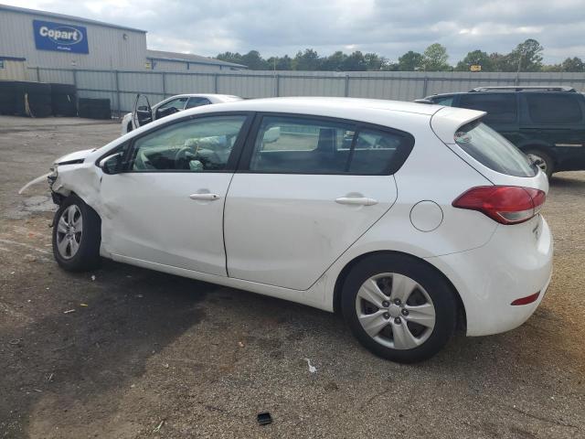 KNAFK5A80G5526354 KIA FORTE LX