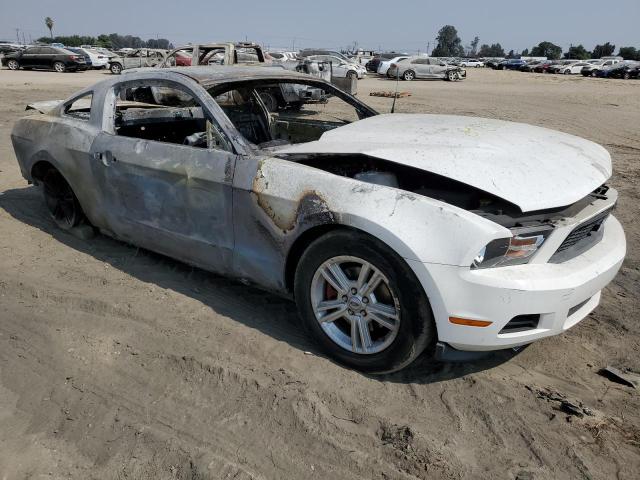 2011 Ford Mustang VIN: 1ZVBP8AM7B5117694 Lot: 69208073