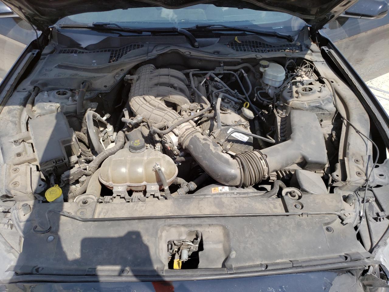 1FA6P8AM5G5241920 FORD ALL Models 2016