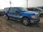 Lot #2919302569 2009 FORD F150 SUPER