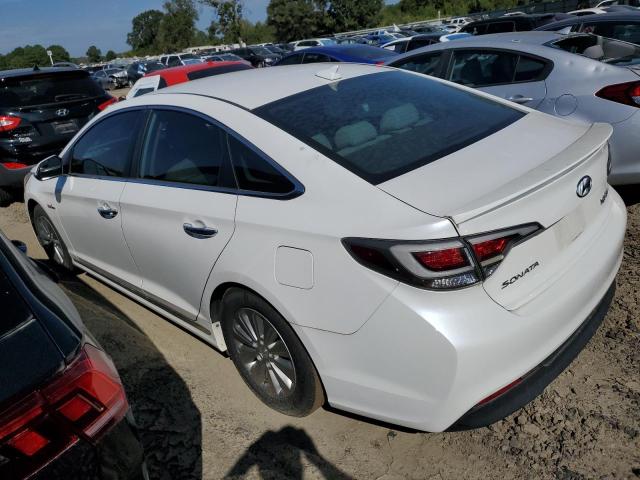 KMHE24L17GA020547 | 2016 HYUNDAI SONATA HYB