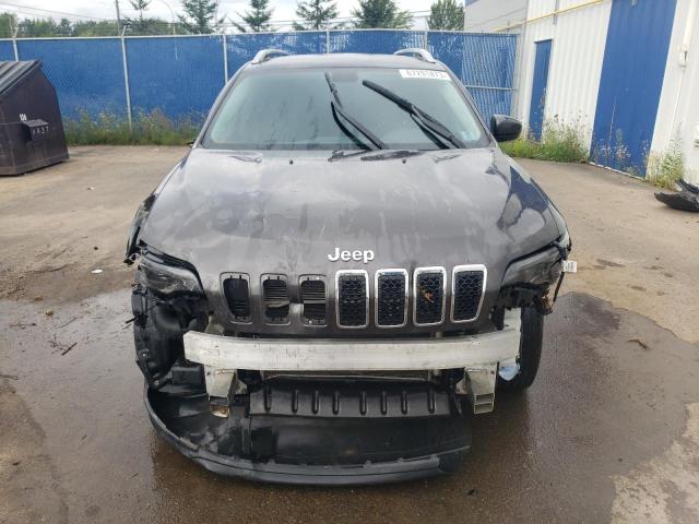 2019 JEEP CHEROKEE L - 1C4PJMCX6KD150766