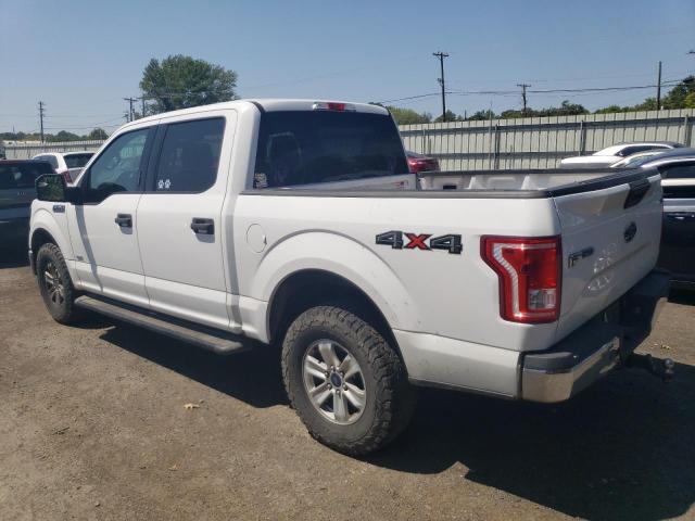 1FTEW1EGXFKD44643 Ford F150 Supercrew